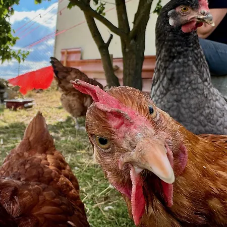 Konukevi Wypoczynek Nad Dolina Orawka