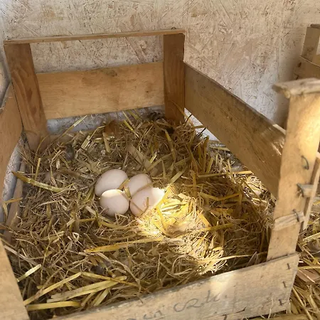 Konukevi Wypoczynek Nad Dolina Orawka