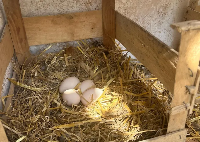 Pensjonat Wypoczynek Nad Doliną Orawka